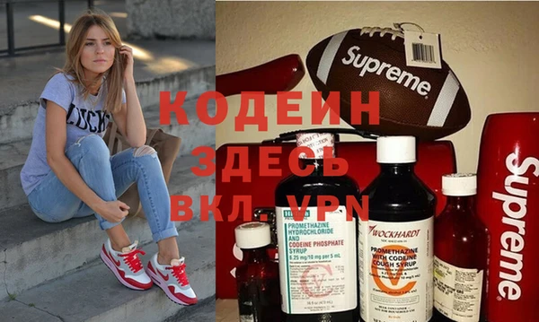 хмурый Арсеньев