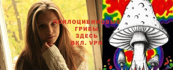 2c-b Аркадак